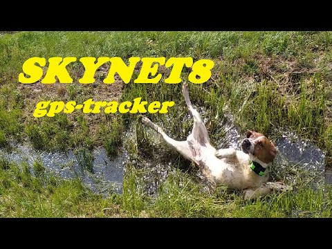 Испытание GPS-трекера SKYNEТ 8. Два подъема зверя. AIBEILE