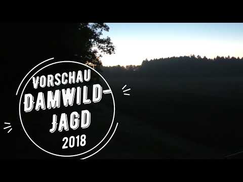 Trailer Damwild Brunft 2018