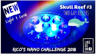 Rico’s Nano Challenge 2018 - Skull Reef March - Rico’s Aquariums