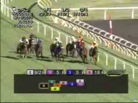 2013 Summer Stakes - My Conquestadory