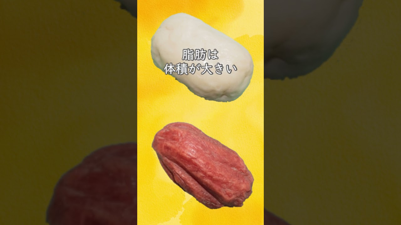 【脂肪と筋肉は同じ1kgでもこんなに違う】#お腹痩せ #管理栄養士 #食べて痩せる