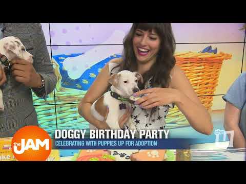 Doggy Birthday Party
