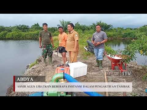 SEURAMOE TV - DKP Abdya Fungsikan Lima Hektar Tambak Ikan Air Payau