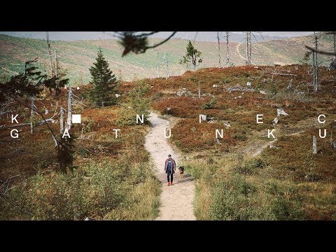 Sokół feat. Lena Osińska - Koniec gatunku