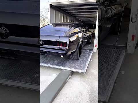 1969 Ford Mustang Fastback - The Ultimate Predator!