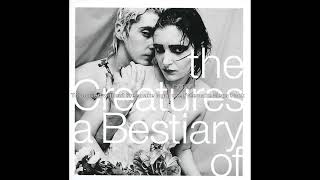 The Creatures - Wild thing (The Troggs cover)