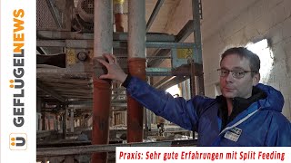 Höherer Futtergewinn und bessere Eiqualität mit Split Feeding - Aus der Praxis