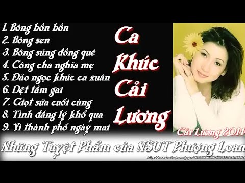 Phượng Loan | Những Bài Tân Cổ Hay Nhất