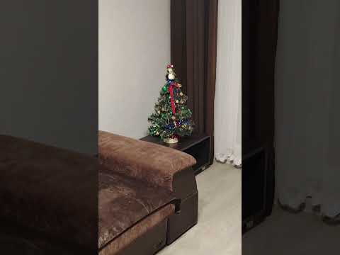 фото набережная франциска скорины, 26, брест, брестская область, 2 комн., 53 м² 0