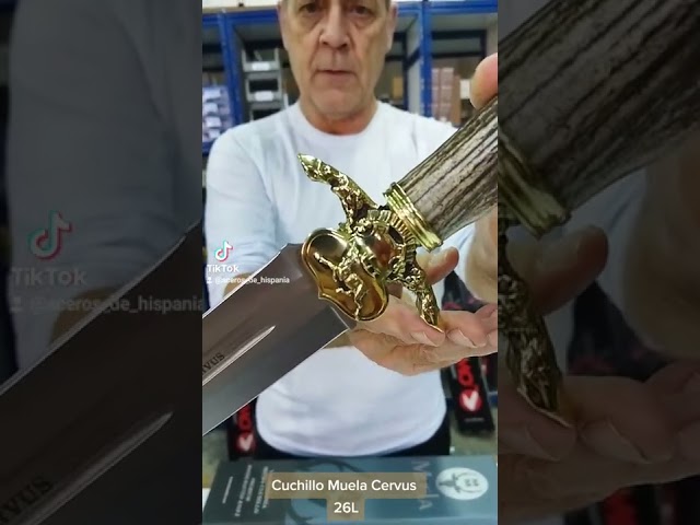 Vídeo relacionado con Muela Cuchillo de caza POINTER-13A con hoja de acero inoxidable ACX-380 de 13 cm y empuñadura de asta de ciervo para Caza, Pesca, Supervivencia y Bushcraft + Portabotellas de regalo