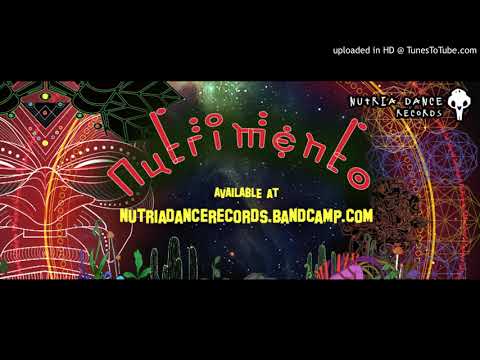 Virtuanoise - GUITAR HERO