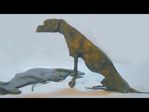 @ionbogdanstefanescu  Johnny Răducanu -  Pe Olt