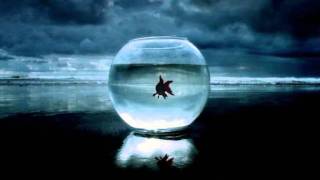 Dave Armstrong and Ben Delay - Come Back