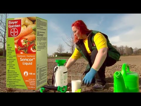 , title : 'Bayer Garden, Sencor® Liquid - selektivní herbicid, řešení plevelů v bramborách, rajčatech a mrkvi'
