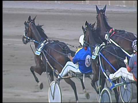 Trotto 16/09/2016 - 4ª corsa