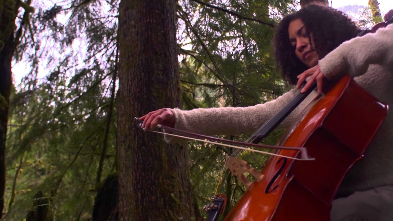 Promotional video thumbnail 1 for Gretchen Yanover, Classical-Crossover-Electric Cello