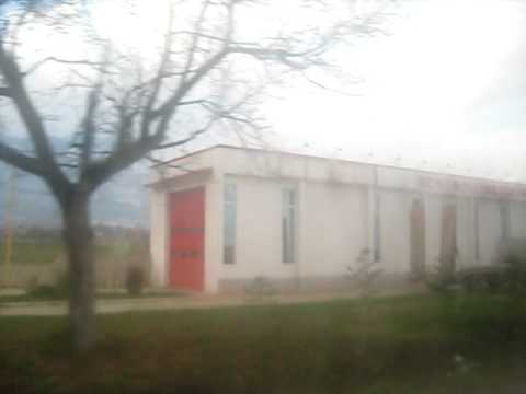 Metohija - Crven cvete