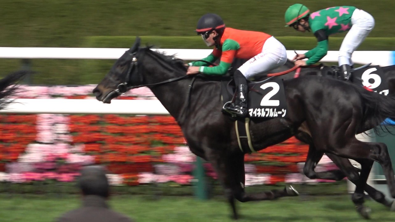 【現地撮影】2026年3月7日阪神競馬場9Rマイネルフルムーン&田口貫太騎手4着