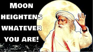 Sadhguru - If Bliss and Love has to touch you, you must be illogical!