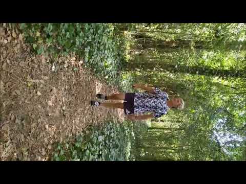 Las trémulas canciones / ESTELARES