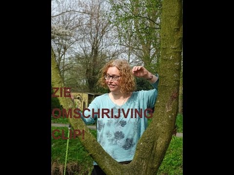 Alphaville vs DJ Bobo Zie omschrijving clip