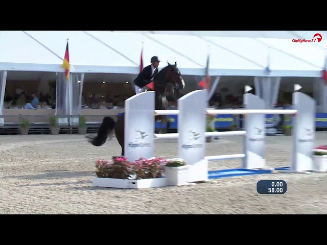 Half-brother of the mother of this embryo is the CSI 1.60m horse Iceman de Muze with rider Dayro Arroyave.