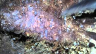 Large vein of Limonite and Quartz we're sampling from