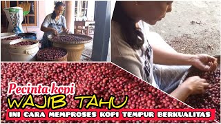 Download lagu Kopi Tempur || Cara mengolah biji kopi menjadi kopi berkualitas || Beberapa manfaat kopi petik merah mp3