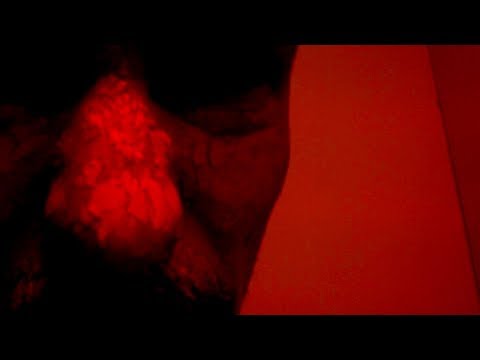 Flesh Rodeo - Mestaclocan (lyric video)