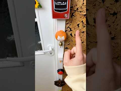 The Last Doorbell is a LIE 😱🐱