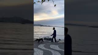 Ganhando em Dlar e Viajando