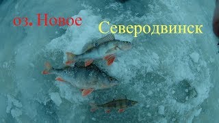 Рыбалка в северодвинске на яграх сегодня форум