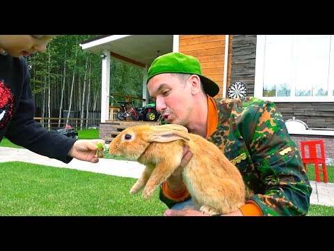 ЧЕЛЛЕНДЖ Отгадай Животное по Еде! Настоящие ЖИВОТНЫЕ против Обычной ЕДЫ Challenge for kids