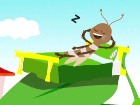 A Barata Diz Que Tem | Jardim de Infância Vol. 2