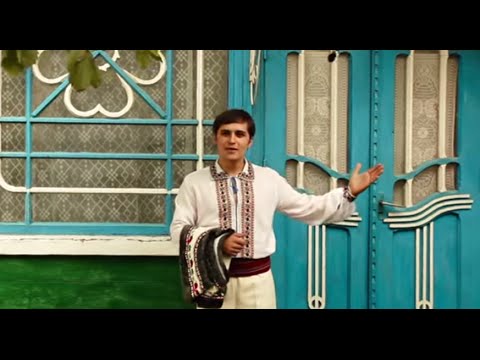 Victor Bondari - Busuioc crescut pe coastă