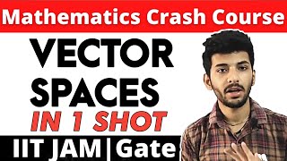 Vector spaces in One shot | All concepts and Examples
