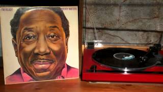 Muddy Waters - &quot;Rock Me&quot; [Vinyl]