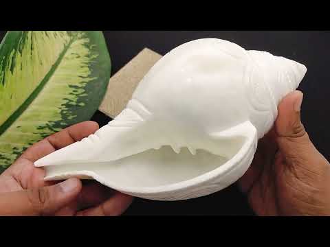 Abhishek Shankh for deities Divine Connection - 9 inches video