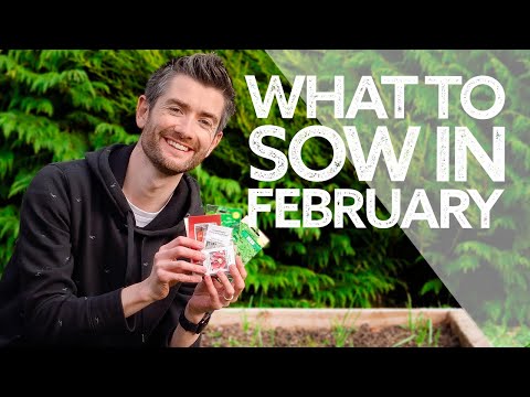 , title : 'What To Sow in February | Grow Your Own Vegetables | What to Sow in Late Winter'