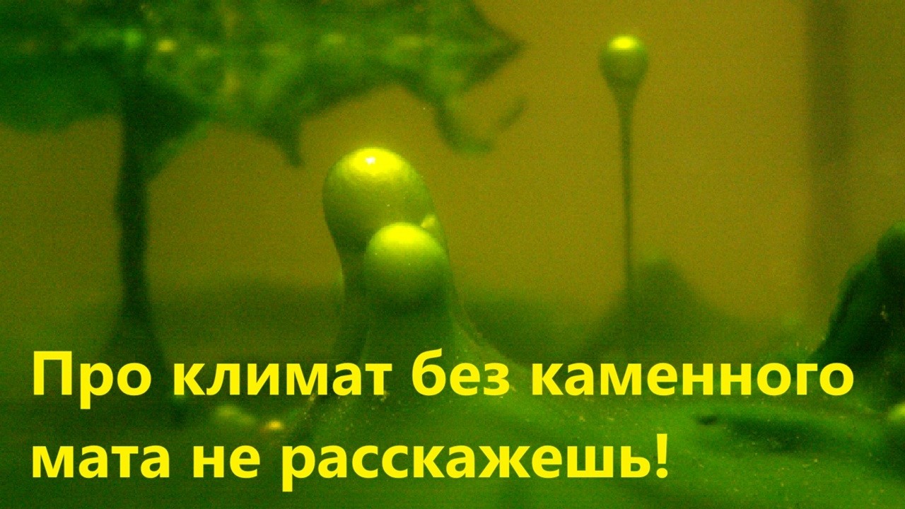 Про климат без каменного мата не расскажешь!
