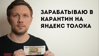 Зарабатываю в карантин на Яндекс Толока Сколько там сейчас платят