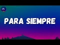 Daddy Yankee Ft Sech Para Siempre Letra Lyrics
