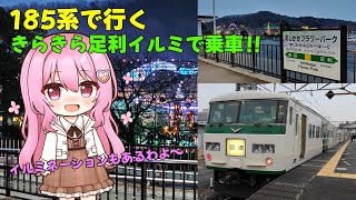 【鉄道旅ゆっくり実況】185系で行く〜きらきら足利イルミで乗車!!〜【#ゆく旅動画祭】