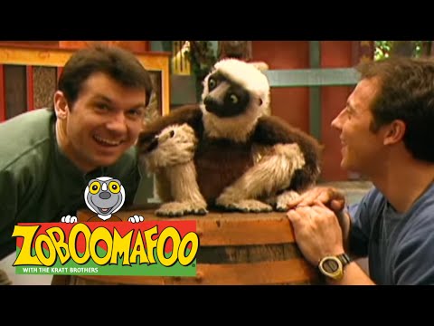 Zoboomafoo 119 - Running (Full Episode)