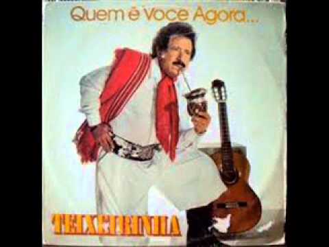 JÁ ME CANSEI - Teixeirinha