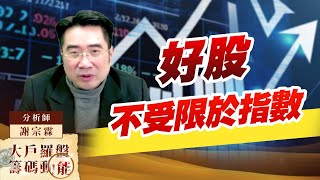 好股不受限於指數 (圖)