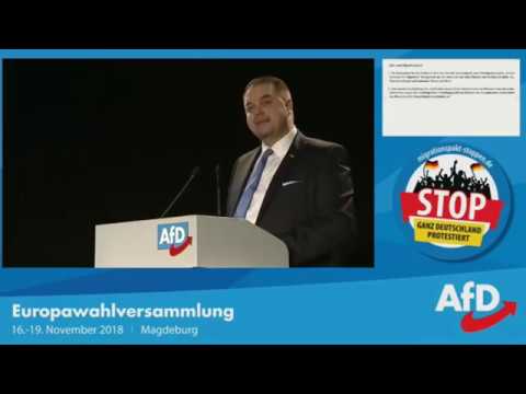 Migrationspakt stoppen - Antragsbegründung Julian Flak auf EWV 2018