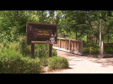 Bergen County Zoo Docent