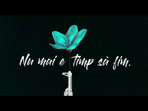 Monica Odagiu & Andy Horjea - Nu mai e timp să fim