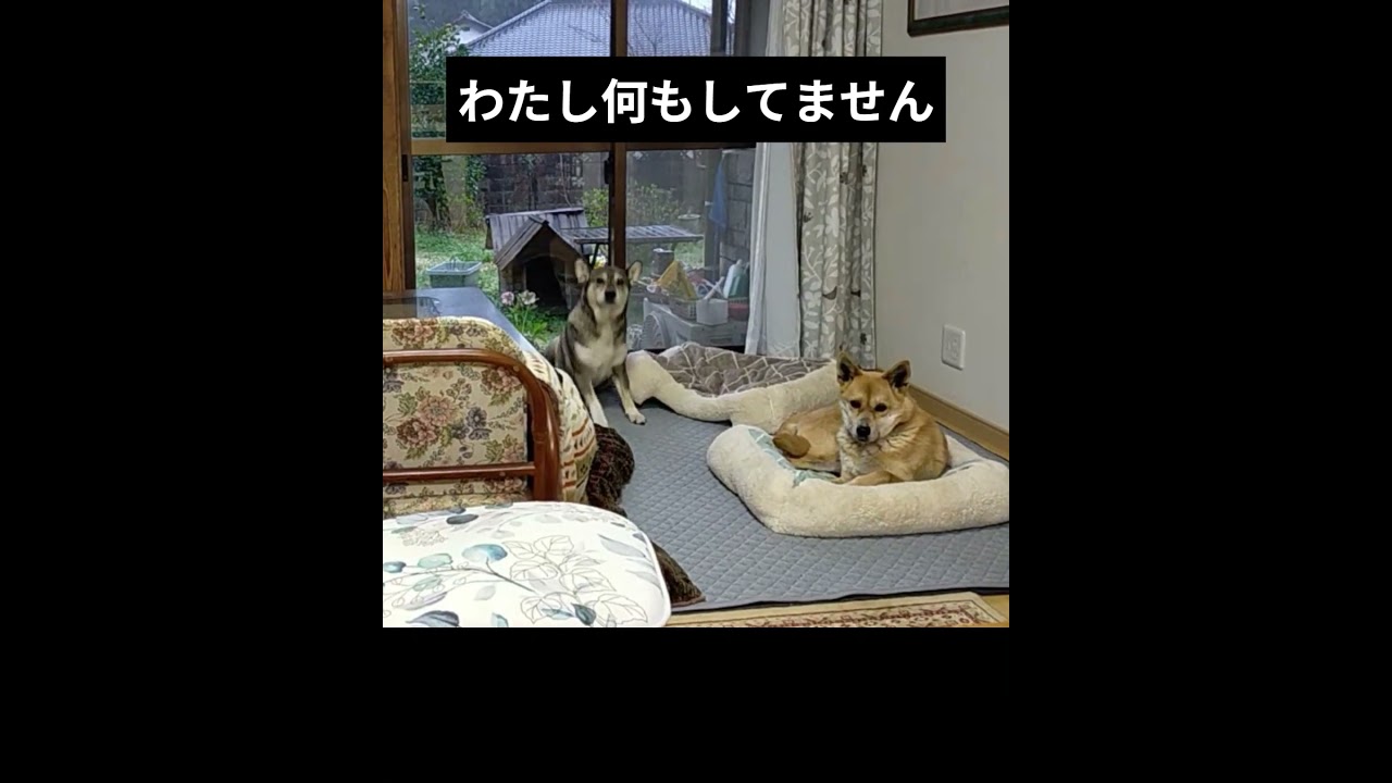 で、何やろうとしてるんでしょうかね？この方は…